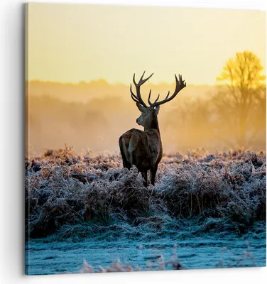 Produktbild von Bild auf Leinwand - Leinwandbild - Feld Nebel Natur Baum - 60x60cm - Wand Bild - Wanddeko - Leinwanddruck - Bilder - Kunstdruck - Wanddekoration - Leinwand bilder - Wandkunst - AC60x60-2428