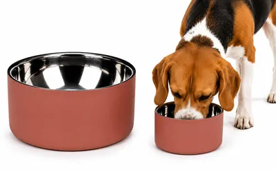 Futter- und Trinknapf rund, Lachsrosa, 17x7,4 cm, 1,2 l
