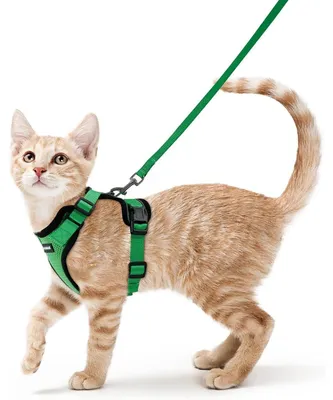 Productafbeelding van Kattenhalsband met lijntje, ontsnappingswerend, verstelbaar, grasgroen, maat S