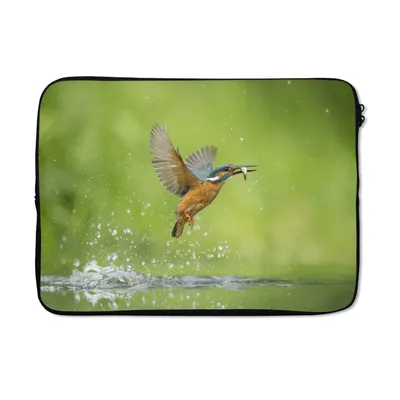 Produktbild von MuchoWow® Laptop Hülle 14 ZollEisvogel - Fische - Tiere Laptoptasche - Laptoptasche - Stoßsicher - Schutzhaube