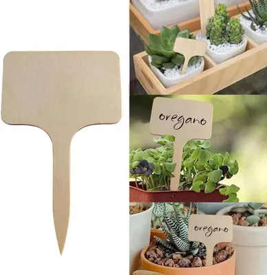 Productafbeelding van CHPN - Plantetiketten - Plantkaarten - Naamkaartjes - Namen van kruiden - Namen van planten - Kruidenetiketten - 10 x 6 cm - Groententuin - Plantetiketten - Plantlabels - Plantetiketten - Plantetiketten - Tuinieren - 100 stuks - Hout