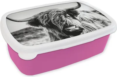 Produktbild von KitchenYeah® Lunchbox Brotzeit Brotdose 17x11 cm Kuh - Schottisches Hochlandrind - Schwarz - Weiß - Tier - Natur - Wildtiere Kinder Brotzeitdose - Lunchpaket - Brotkasten  - Sandwich Box
