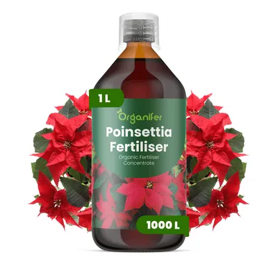 Obrázek produktu pro Vianočná Hviezda Tekuté Hnojivo 1 L – 2-1-8 NPK – Pro Vianočné Hviezdy – Podporuje Bujné Květy & Zdravý Růst – Organifer