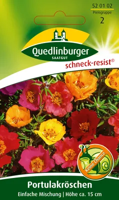 Produktbild von Quedlinburger Saatgut - Portulakröschen Einfachblühend - Samen - 520102