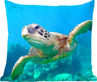Produktbild von MuchoWow® Zierkissen Sofakissen Wohnzimmer Dekokissen 40x40 cm Meeresschildkrötenschwimmen auf Hawaii - Foto Kissen - Schlafzimmer Dekoration