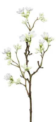Produktbild von Künstlicher Scheinquittenzweig, ca. 51cm. Kunstblume Quitte weiß WEISS