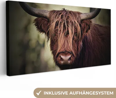 Produktbild von MuchoWow® - Leinwandbilder - Schottischer Hochländer - Licht - Porträt - Natur, Wandbild, Wanddeko Bilder Wohnzimmer, 40x20 cm