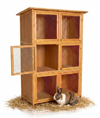 Immagine prodotto di Mucola gabbia per conigli 6 box conigliera recinto in legno all'aperto conigliera conigliera piccoli animali conigliera XXL gabbia conigliera conigliera conigliera per polli gabbia per criceti coniglio