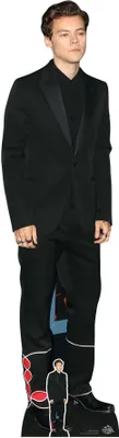 Produktbild von Harry Black Suit Styles Pappaufsteller