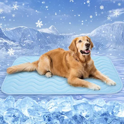 Image de Tapis de refroidissement pour chiens, 100 x 70 cm, lavable