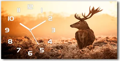 Produktbild von Wanduhr aus Glas – 60x30 cm - Glasbild - Glasuhr - Gehärtetes Glas - weisse-zeiger - Deer Sonnenaufgang