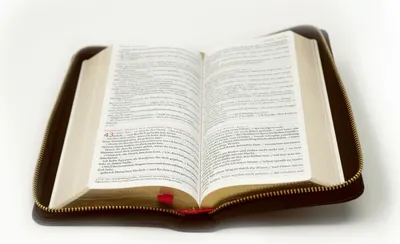Produktbild von Die Bibel