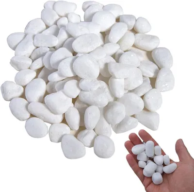 Image de Décoration de jardin : galets blancs de 2 à 4 cm, 1 kg, pour plantes et aquariums