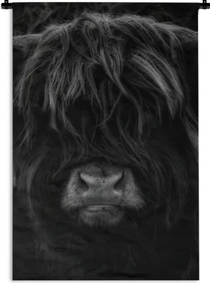Produktbild von MuchoWow® Wandteppich Wandbehang Schottischer Highlander - Kuh - Schwarz - Weiß - Porträt 90x135 cm Tapisserie Dekoration Wandtuch - Baumwolle - Wandskulptur
