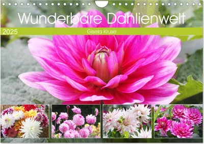 Produktbild von Wunderbare Dahlienwelt (Wandkalender 2025 DIN A4 quer), CALVENDO Monatskalender