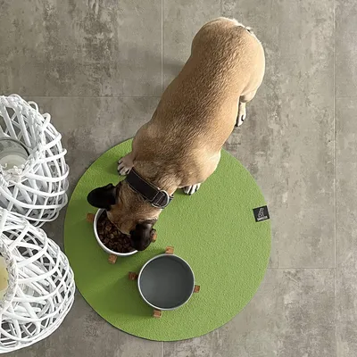 Produktbild von SANOZOO® - Napfunterlage, Öko-Tex, Rund 120 cm Grün