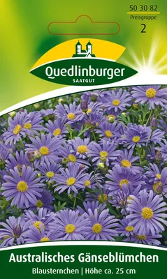 Produktbild von Australisches Gänseblümchen Blausternchen | Gänseblümchensamen von Quedlinburger