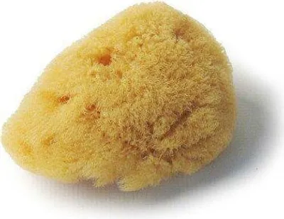 Produktbild von Croll & Denecke Naturschwamm, ca. 5 cm