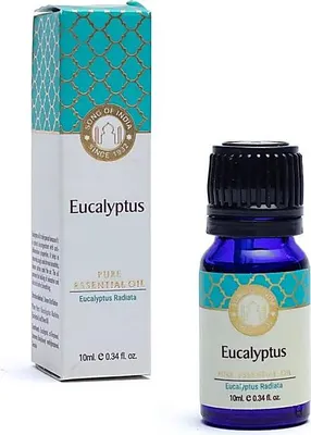 Produktbild von Ätherisches Eukalyptusöl Song of India -- 10 ml online bestellen