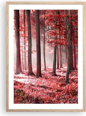 Produktbild von Gerahmtes Poster - Rahmen in heller Eiche - Wald Rot Bäume - 50x70 cm - Wand Bild - Wanddeko - Wandbilder - Kunstposter - Wandposter - Bilderrahmen - Bilder - Kunstdruck - P2NPA50x70-4944
