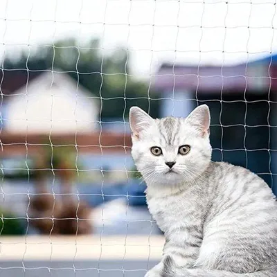 Immagine prodotto di Rete di protezione per gatti, ideale per balconi e finestre - particolarmente resistente alle intemperie - 5 x 5 metri