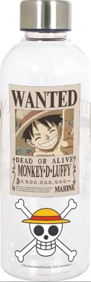 Image de Paladone One Piece Bouteille recherchée 850ml Transparent Transparent One Size