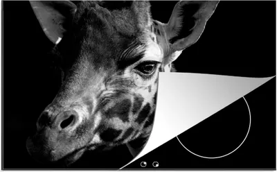 Produktbild von KitchenYeah© Herdabdeckplatte Giraffe auf schwarzem Hintergrund - schwarz und weiß , 81x52cm, Küche Deko, Glaskeramikkochfeld Herdabdeckung, Abdeckplatte fùr Kochfeld