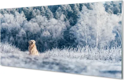 Produktbild von Glasbilder 120x60 Wandkunst Winter-Berghund