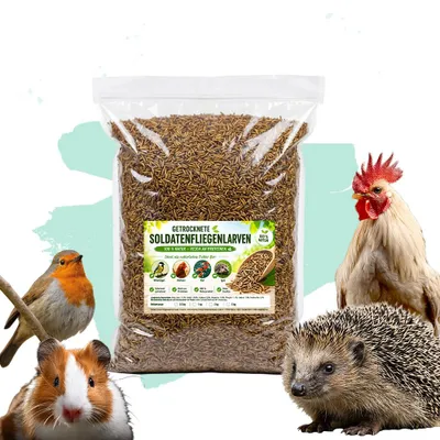 Soldatenfliegenlarven 1kg
