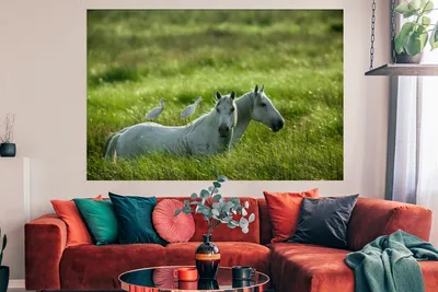 Produktbild von MuchoWow® Poster Pferde - Vogel - Gras 180x120 cm - Fotoplakat