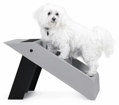 Produktbild von Klappbare Hundetreppe mit 3 Stufen – Grau