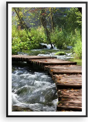 Produktbild von Gerahmtes Poster - Schwarzer Rahmen - Park natur grün bäume - 70x100 cm - Wand Bild - Wanddeko - Wandbilder - Wandposter - Bilderrahmen - Bilder - Kunstdruck - Wandbild - P2BPA70x100-0356