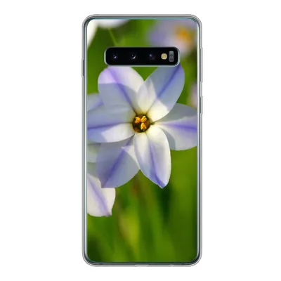 Produktbild von MuchoWow® Handyhülle Schutzhülle Hülle für Samsung Galaxy S10 Blumen - Garten - Lila Silikon Softcase Handy Hülle - Handytasche