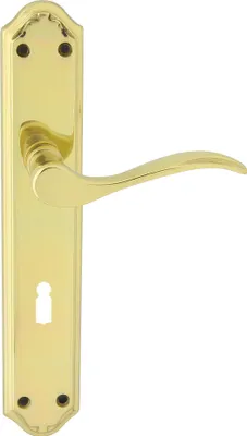 A brass door handle set with a long backplate and a keyhole.