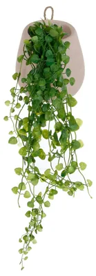 Obrázok produktu pre Umelý brečtan v závesnom kvetináči, 58 cm