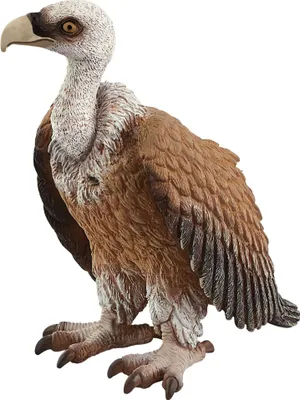 Produktbild von Schleich schleich® Wild Life 14847 Geier