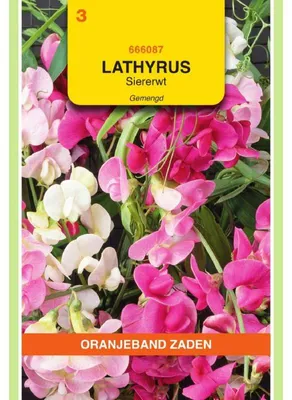 Obrázok produktu pre Oranjeband, zmes semienach rastliny Lathyrus latifolius – 1 balenie