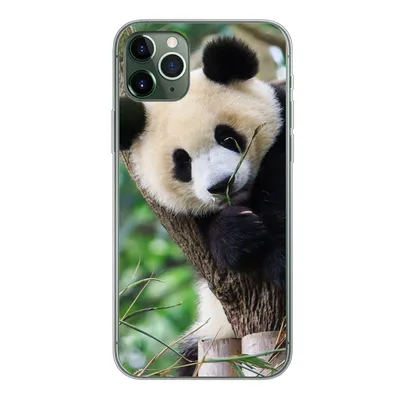 Produktbild von MuchoWow® Handyhülle Schutzhülle Hülle für iPhone 11 Pro Max Panda - Tiere - Dschungel - Natur Silikon Softcase Handy Hülle - Schutz
