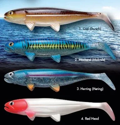 Produktbild von Jackson The Sea Fish 30cm Herring (Hering)
