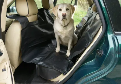 Produktbild von Auto Hundedecke/ Schutzdecke mit Seitenschutz für Rücksitze, schwarz von PETEX