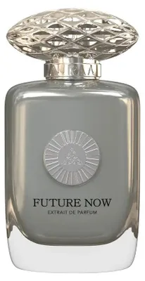 Productafbeelding van Future Now Extrait de Parfum, 100 ml