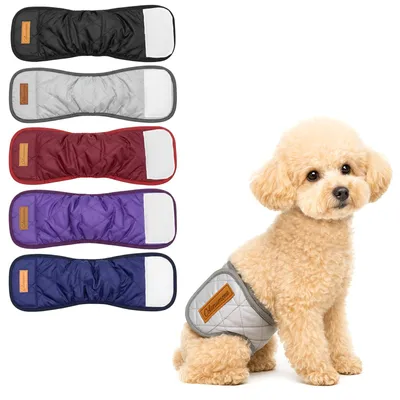 5er-Pack waschbare Hundewindeln für Rüden, gesteppt, L
