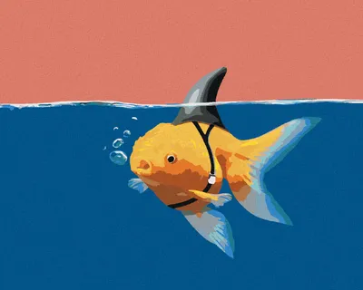 Produktbild von Zuty - Malen nach Zahlen - GOLDFISCH ODER HAI, 40x50 cm, ohne Keilrahmen