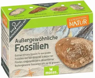 Produktbild von Moses-Exp. Natur Mini-Ausgrabungssets
