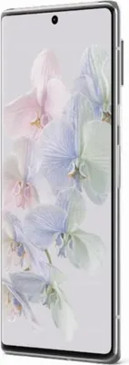 Obrázok produktu pre Google Pixel 6 Pro - 5G smartfón - Dual SIM - RAM 12 GB / 128 GB - OLED displej - 6,7" - 3120 x 1440 pixelov (120 Hz)