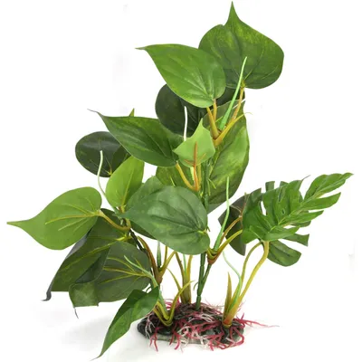 Image de Plante d'aquarium artificielle de 20 cm, feuilles décoratives vertes d'aspect réaliste pour aquariums, plantes en plastique pour aquariums