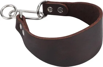 Productafbeelding van Robuuste, draagbare en verstelbare halsband voor kleine honden, windhonden, whippets, met niertjes, bruin