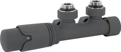 A dark gray radiator valve set with a thermostat head, shown against a white background.