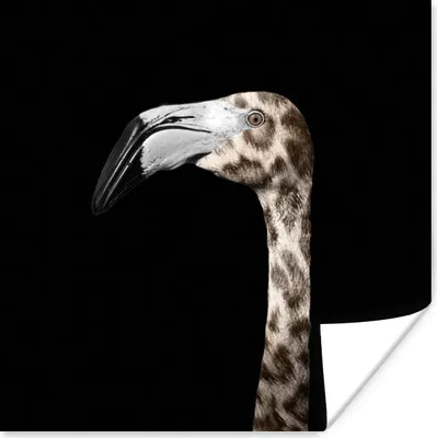 Produktbild von MuchoWow® Poster Flamingo - Panther Druck - Porträt 100x100 cm - Babyzimmer