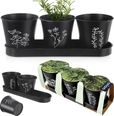 Obrázok produktu pre Kvetináč na bylinky BLACKLINE 33x11x10,5cm
